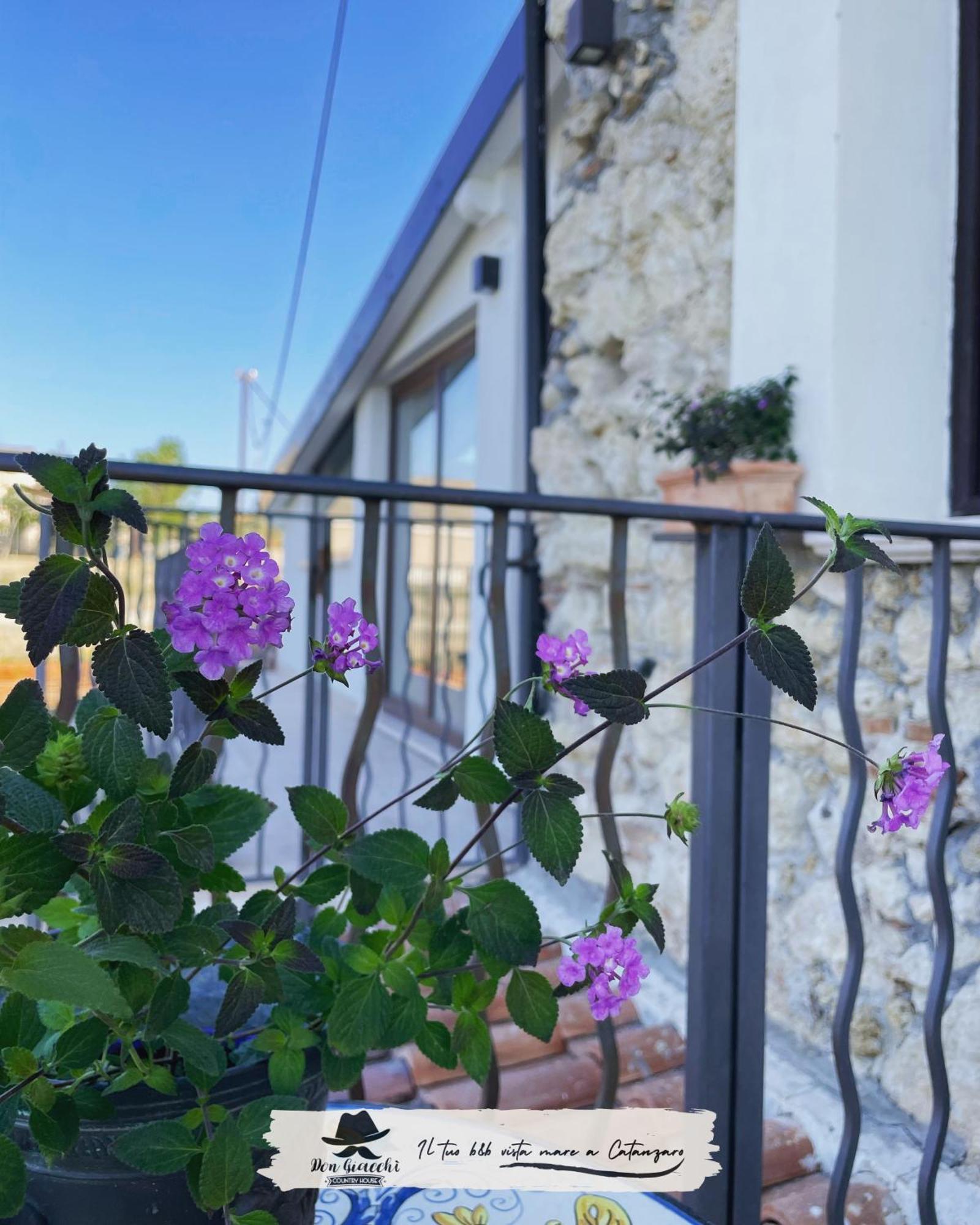 Don Giacchi Country House Catanzaro Exteriör bild